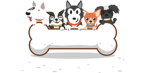 dog grooming