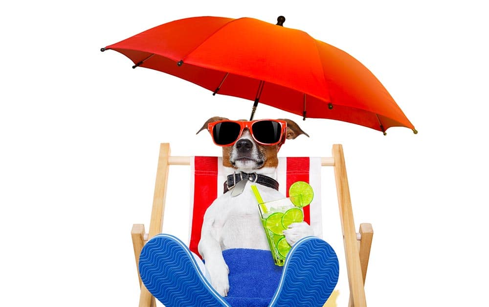 WoofBeach-Shore WoofBeach Shore